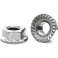 Flange Nut — SS 304 solar mounting accessory