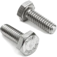 Hex Bolt — SS 304 solar mounting accessory